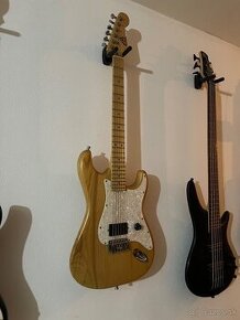 Vymenim Fokus stratocaster