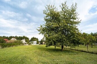 Jednopodlažný, 4izbový dom s veľkorysým pozemkom 2591 m2