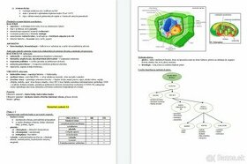 Maturitné zadania z BIOLÓGIE (30 zadaní) - 1