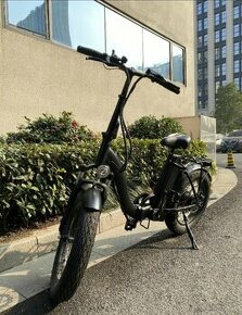 E bike DLY 1000 - 1