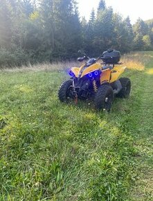 Can am renagde 800 G2