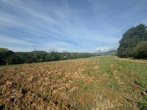 Ponúkame na predaj pozemok o výmere 4562 m2 v Ivanovciach