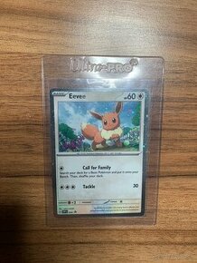 Pokemon TCG karty