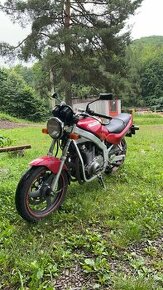 suzuki gs500