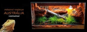 Terarium 120x60x60 prírodné