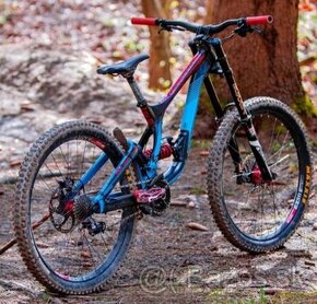 Lapierre DH team