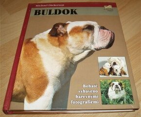 Buldok