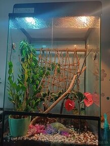 Terarium pre chameleóna