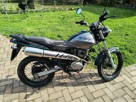 Honda cityfly