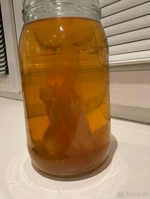 Scoby kombucha