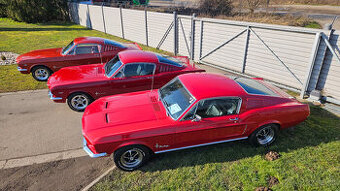 Ford Mustang Fastback 3x