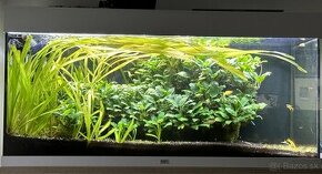 P: Juwel Rio 180 + Tetra 1200 Plus + CO2 - 1