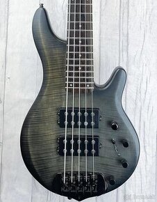 Basgitara Traben 5 Chaos