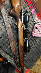 Sauer 101