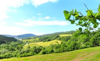 Medzilaborce - 66.000 m2 ORNÁ PÔDA, INVESTIČNÁ PRÍLEŽITOSŤ