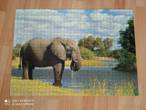 puzzle rozne