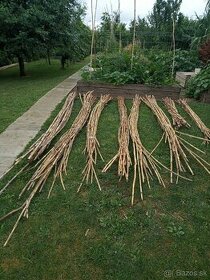 Palice - bambusové tyče vhodné na dekoráciu vytvorenie záste - 1