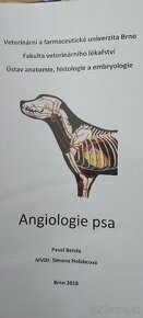 Angiologie psa - Rezervácia - 1