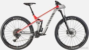 CANYON Strive CF 9.0