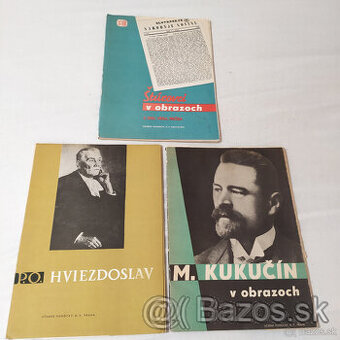 Ucebna pomocka Sturovci Hviezdoslav Kukucin