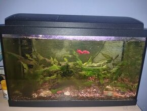 Predám 60 l akvarium