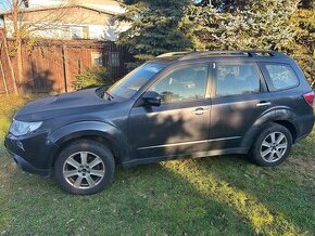 Predam Subaru Forester