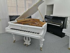 Majstrovská kvalita pre profesionála Bôsendorfer - 1