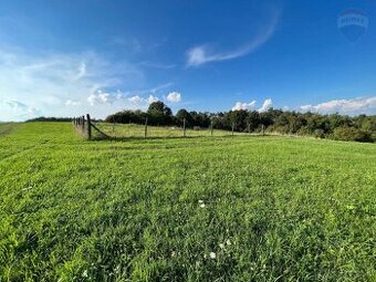 Predaj pozemok 2500 m2 v lokalite Nováky Lelovce.