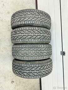 215/55 R17 zimnne