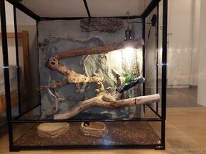 Leguan + terarium s 3D stenou