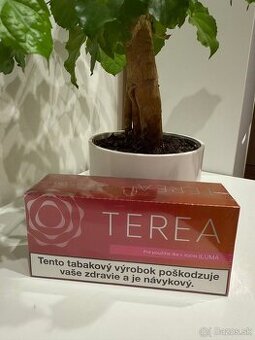 ITerea Ruby Fuse