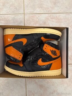 Jordan 1 shattered backboard