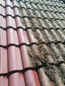 Čistenie strechy, fasády a dlažobných kociek