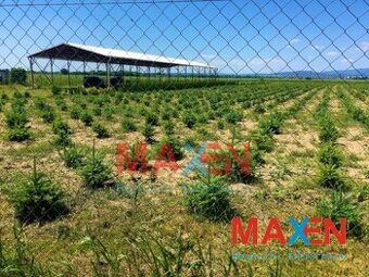 Predaj: MAXEN,Pozemok 12952 m2, vrátane haly 400 m2 a admi