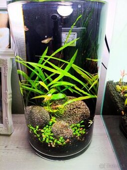 Nano akvarium valec