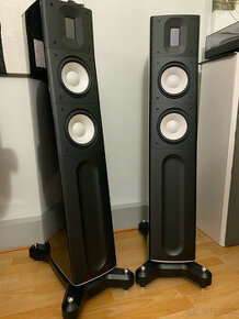 RAIDHO ACOUSTICS C2.2