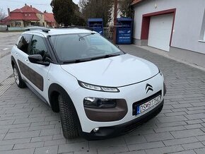 C4 Cactus