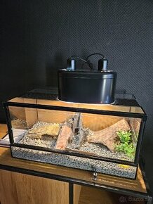 Terarko terrarium na mieru zo všetkým