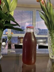 KOMBUCHA NÁPOJ