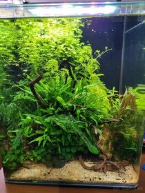 Prodam komplet zabehnute akvarium Dennerle 30L