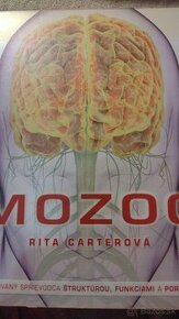 Rita Carterova Mozog