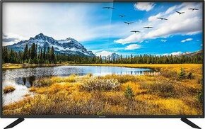 LCD televízor 40" za babku