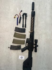 ICS M.A.R.S DMR