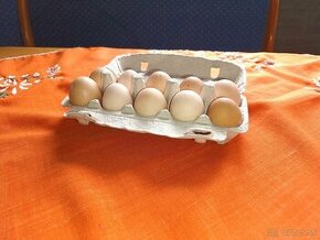 Domáce Vajíčka