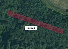 Dúbrava (Snina) - 1.600 m2 LES v podiele 1/1 – NA PREDAJ