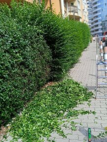 Údržba budov , areálov ,  polyfunkčných budov v Bratislave .