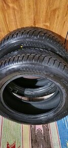 Zimné pneumatiky Falken Eurowinter HS02 205/60 R16-H96