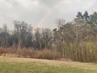 Výnimočný pozemok pod lesom, Malá Ida (Panský les), 595m2