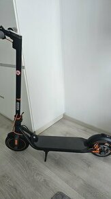 Segway Ninebot F40