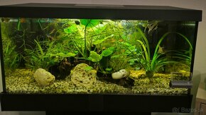 Akvarium set 60l